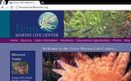 Feiro Marine Life Center Website Thumbnail