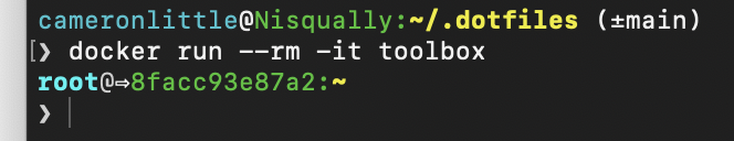 Screenshot of my terminal running the docker toolbox